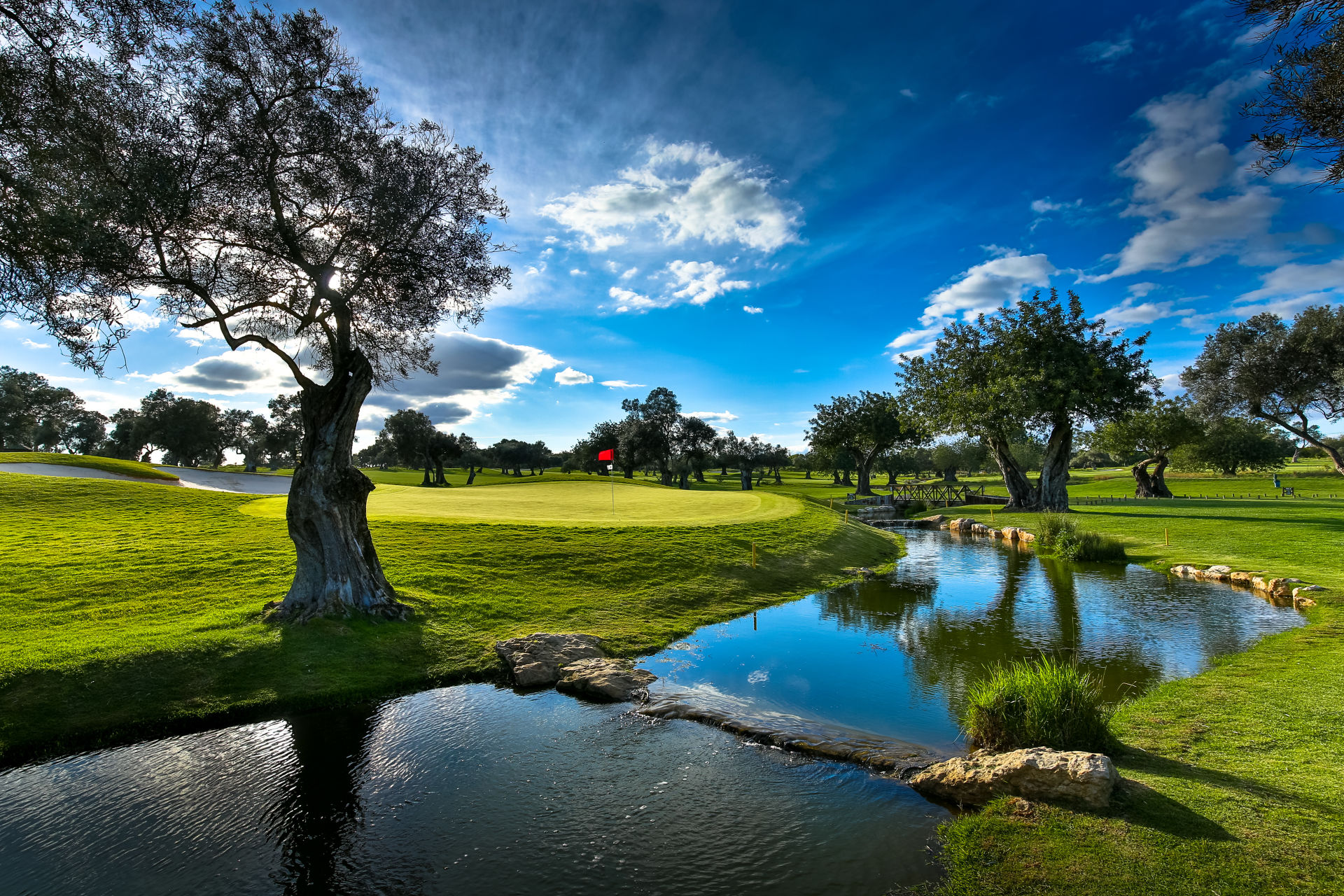 Quinta de cima 1